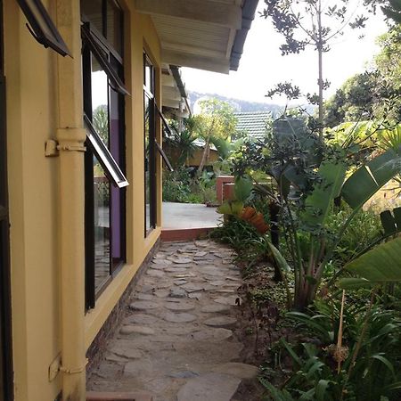 הוסטל Port Saint Johnʼs Jungle Monkey Backpackers מראה חיצוני תמונה