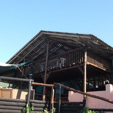 הוסטל Port Saint Johnʼs Jungle Monkey Backpackers מראה חיצוני תמונה