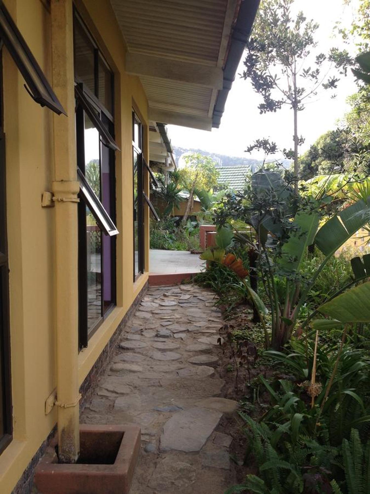 הוסטל Port Saint Johnʼs Jungle Monkey Backpackers מראה חיצוני תמונה