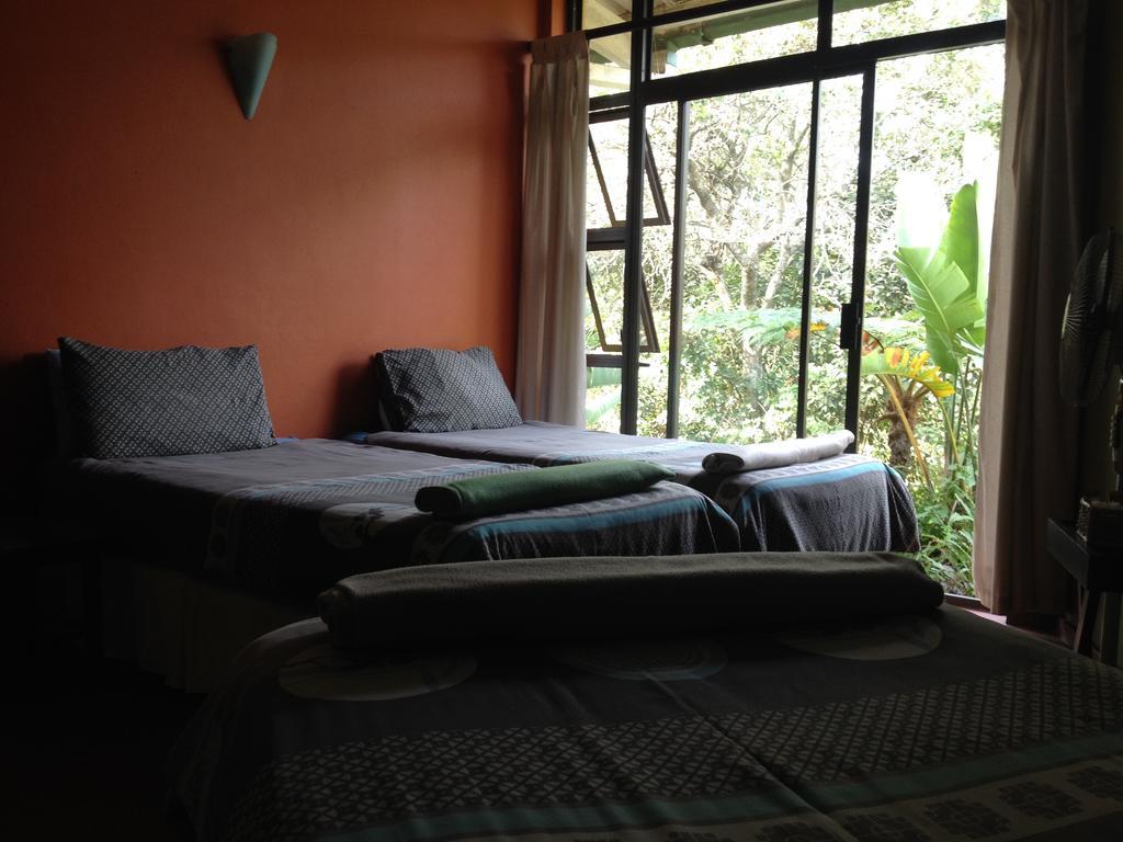 הוסטל Port Saint Johnʼs Jungle Monkey Backpackers חדר תמונה