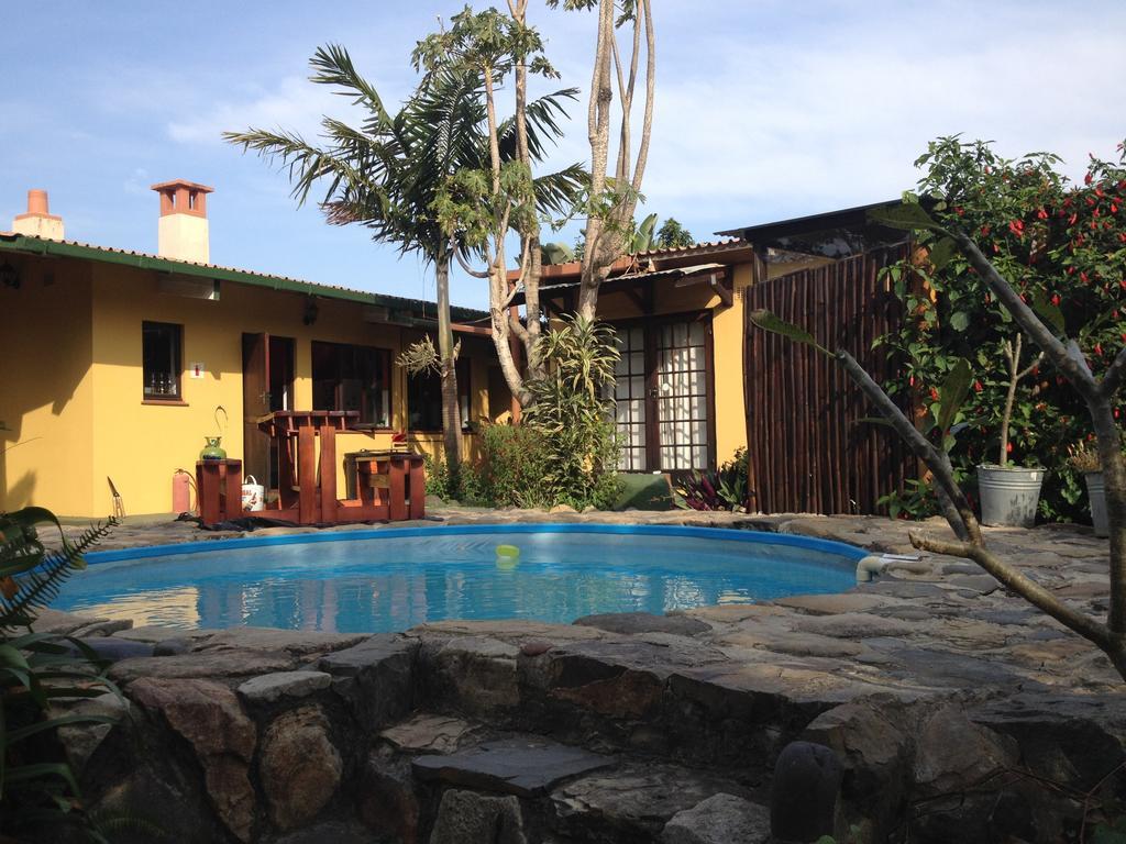הוסטל Port Saint Johnʼs Jungle Monkey Backpackers חדר תמונה