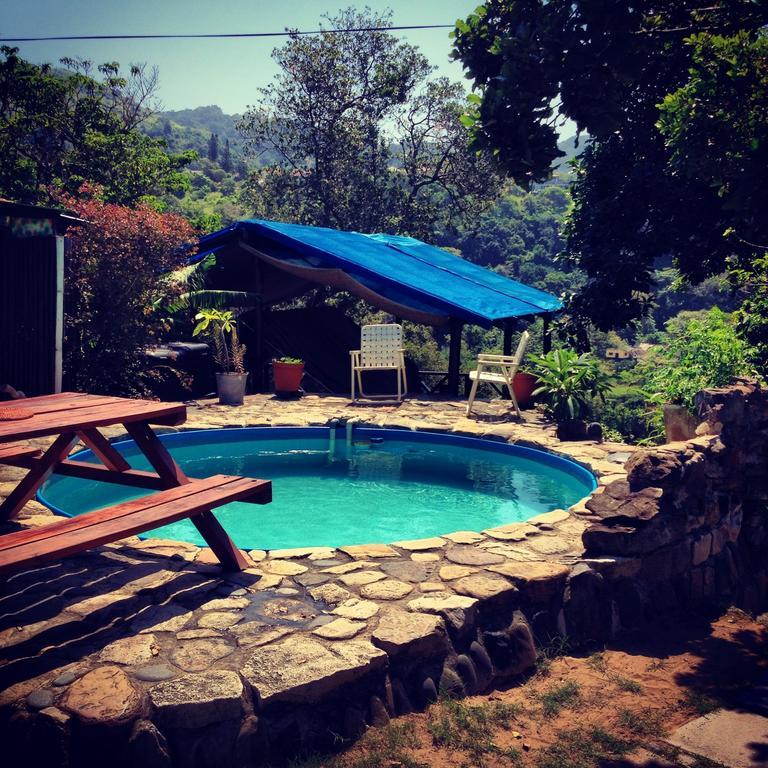 הוסטל Port Saint Johnʼs Jungle Monkey Backpackers חדר תמונה