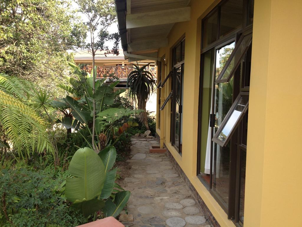 הוסטל Port Saint Johnʼs Jungle Monkey Backpackers חדר תמונה