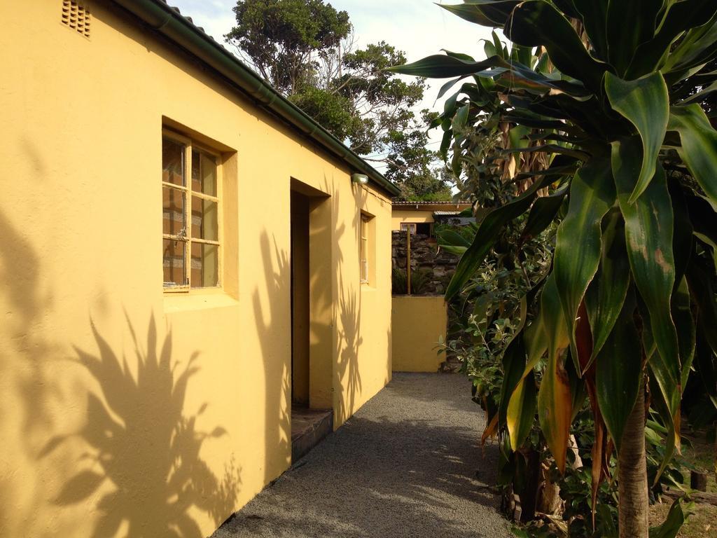 הוסטל Port Saint Johnʼs Jungle Monkey Backpackers חדר תמונה