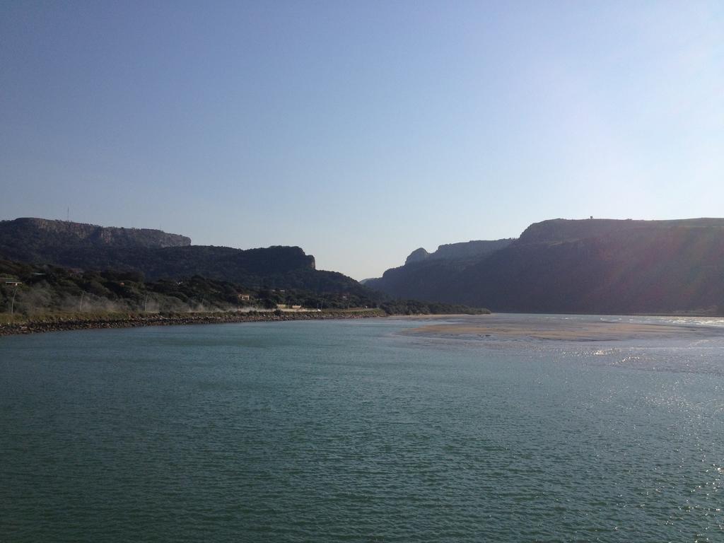הוסטל Port Saint Johnʼs Jungle Monkey Backpackers מראה חיצוני תמונה