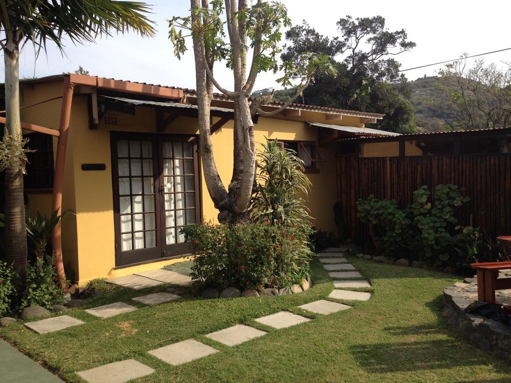 הוסטל Port Saint Johnʼs Jungle Monkey Backpackers חדר תמונה