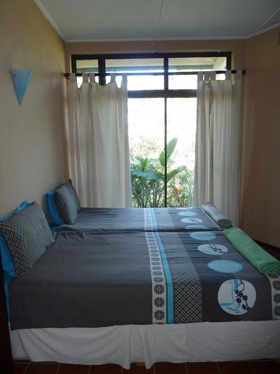 הוסטל Port Saint Johnʼs Jungle Monkey Backpackers חדר תמונה