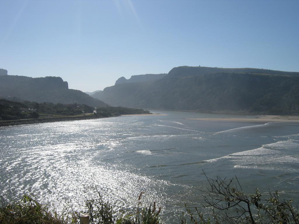 הוסטל Port Saint Johnʼs Jungle Monkey Backpackers מראה חיצוני תמונה
