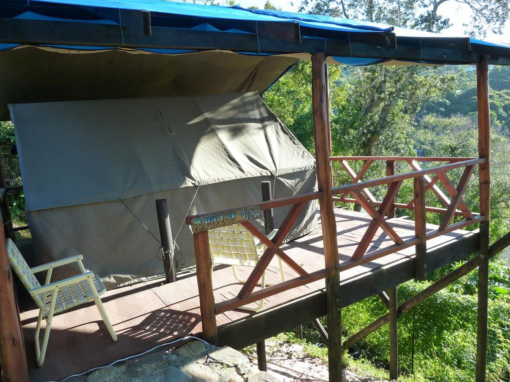 הוסטל Port Saint Johnʼs Jungle Monkey Backpackers חדר תמונה