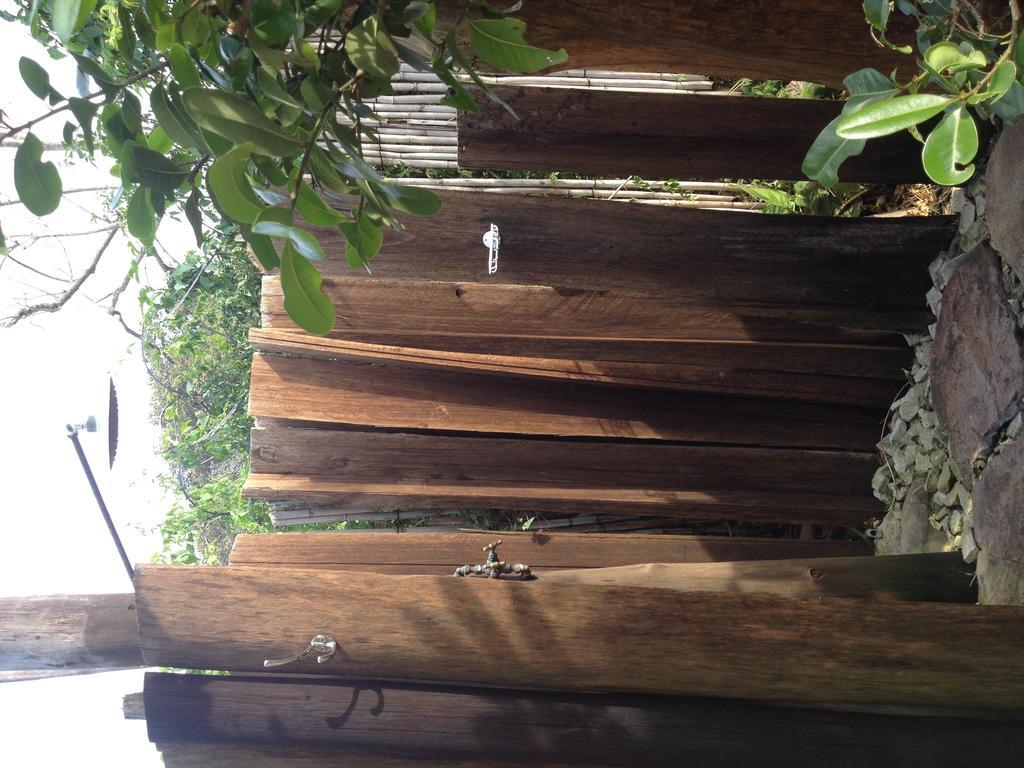 הוסטל Port Saint Johnʼs Jungle Monkey Backpackers חדר תמונה