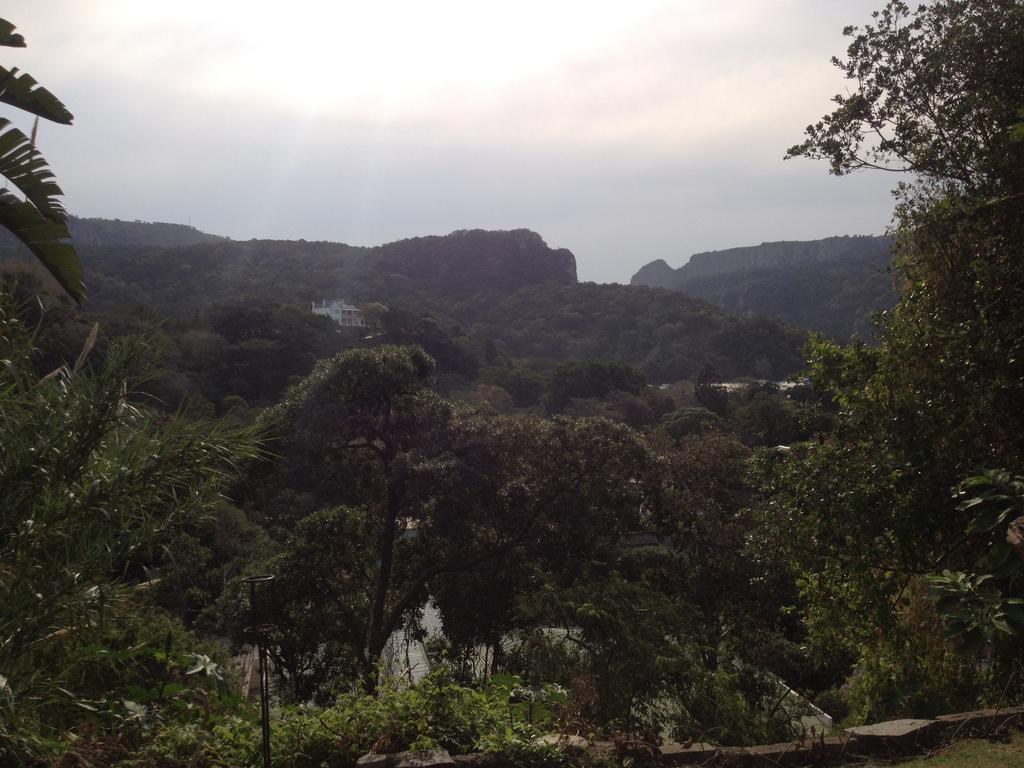 הוסטל Port Saint Johnʼs Jungle Monkey Backpackers חדר תמונה