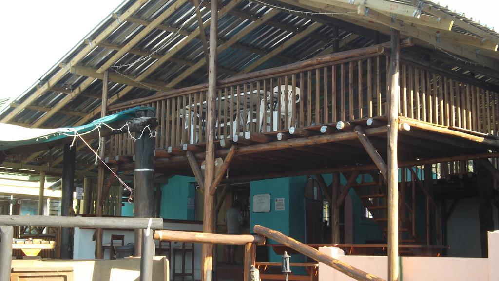 הוסטל Port Saint Johnʼs Jungle Monkey Backpackers מראה חיצוני תמונה