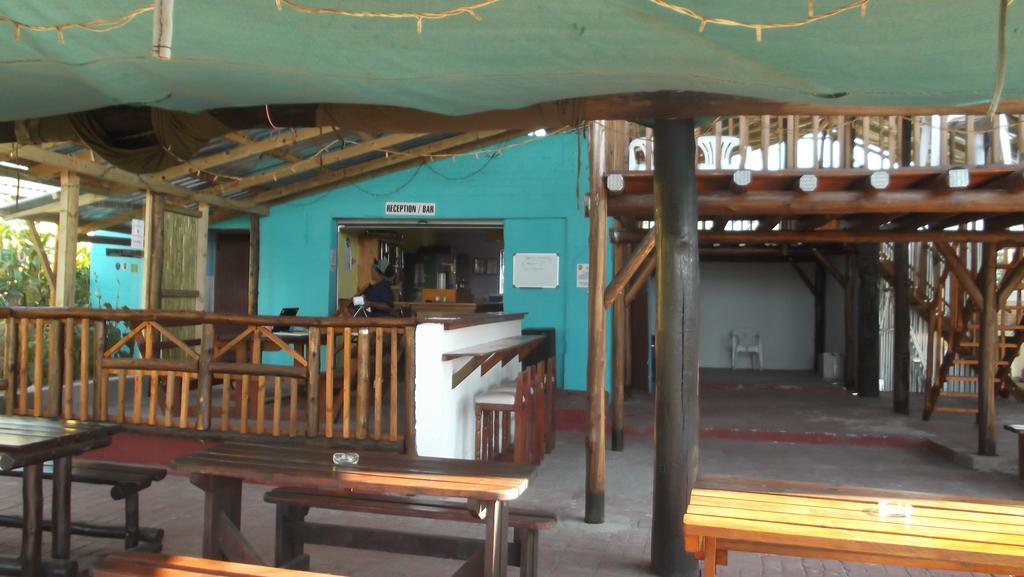 הוסטל Port Saint Johnʼs Jungle Monkey Backpackers מראה חיצוני תמונה